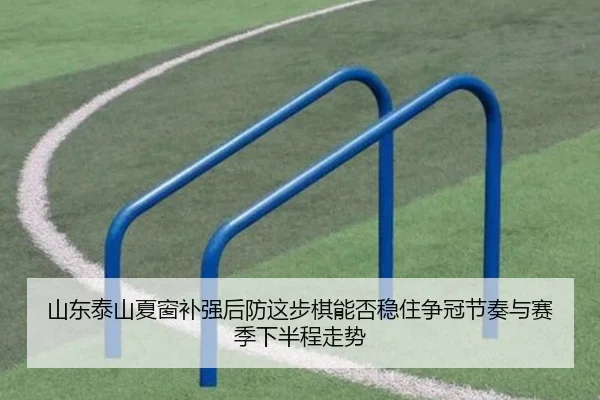 山东泰山夏窗补强后防这步棋能否稳住争冠节奏与赛季下半程走势（8868sports）